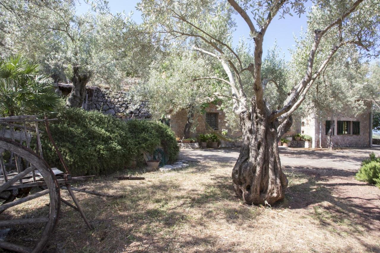 Villa Es Coco, Soller Puerto de Sóller Kültér fotó