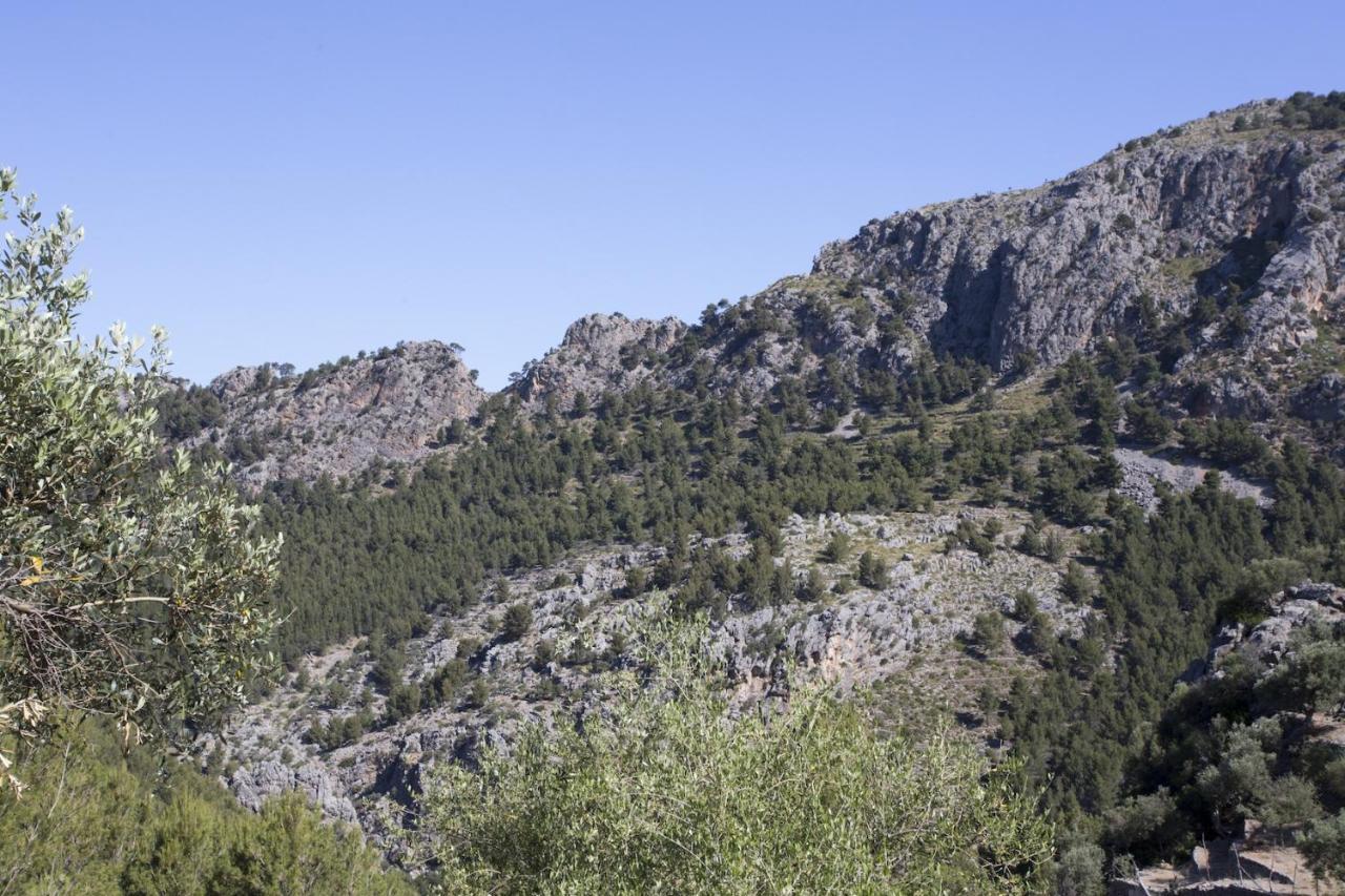Villa Es Coco, Soller Puerto de Sóller Kültér fotó